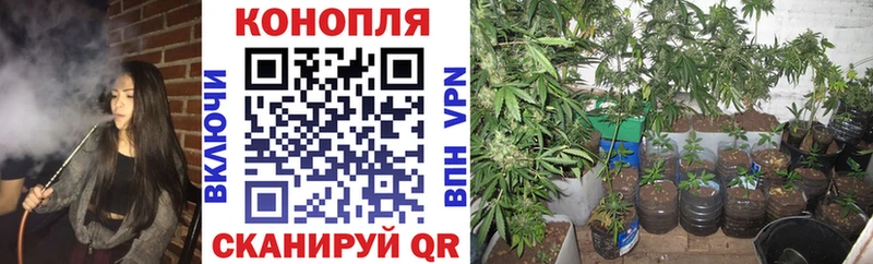 Купить наркотики сайты Углегорск АМФ  Гашиш  Галлюциногенные грибы  Канабис  COCAIN  Codein  APVP 