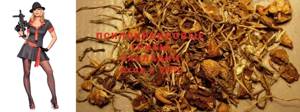 не бодяженный Абдулино